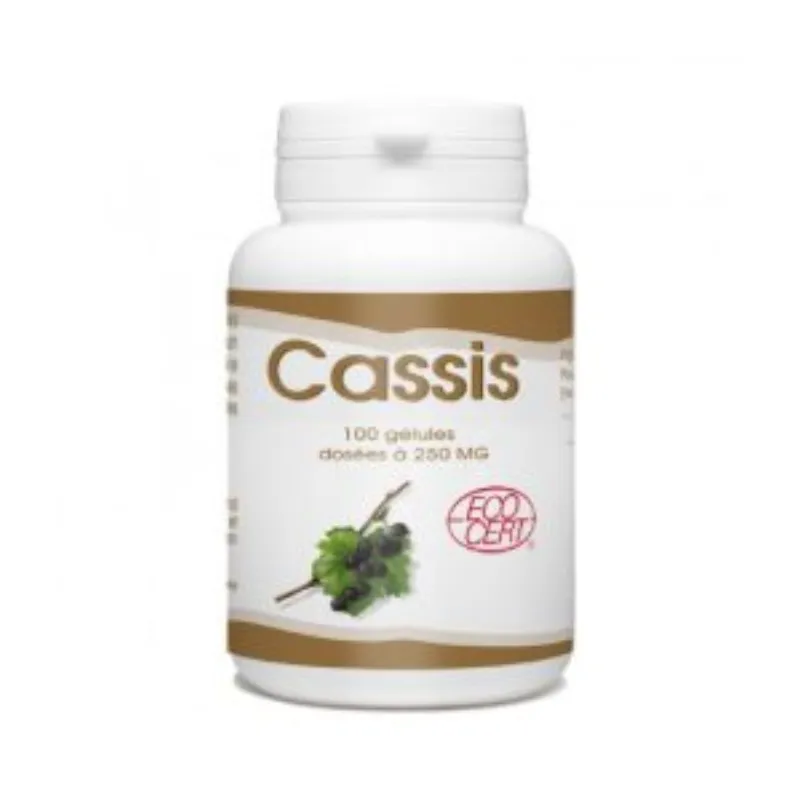 GPH Cassis 100 G2lules 250mg –  | Parasativa Maroc