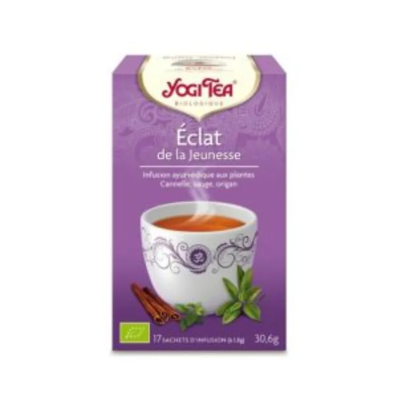 YOGI TEA ECLAT DE JEUNESSE 17 X 2G –  | Parasativa Maroc