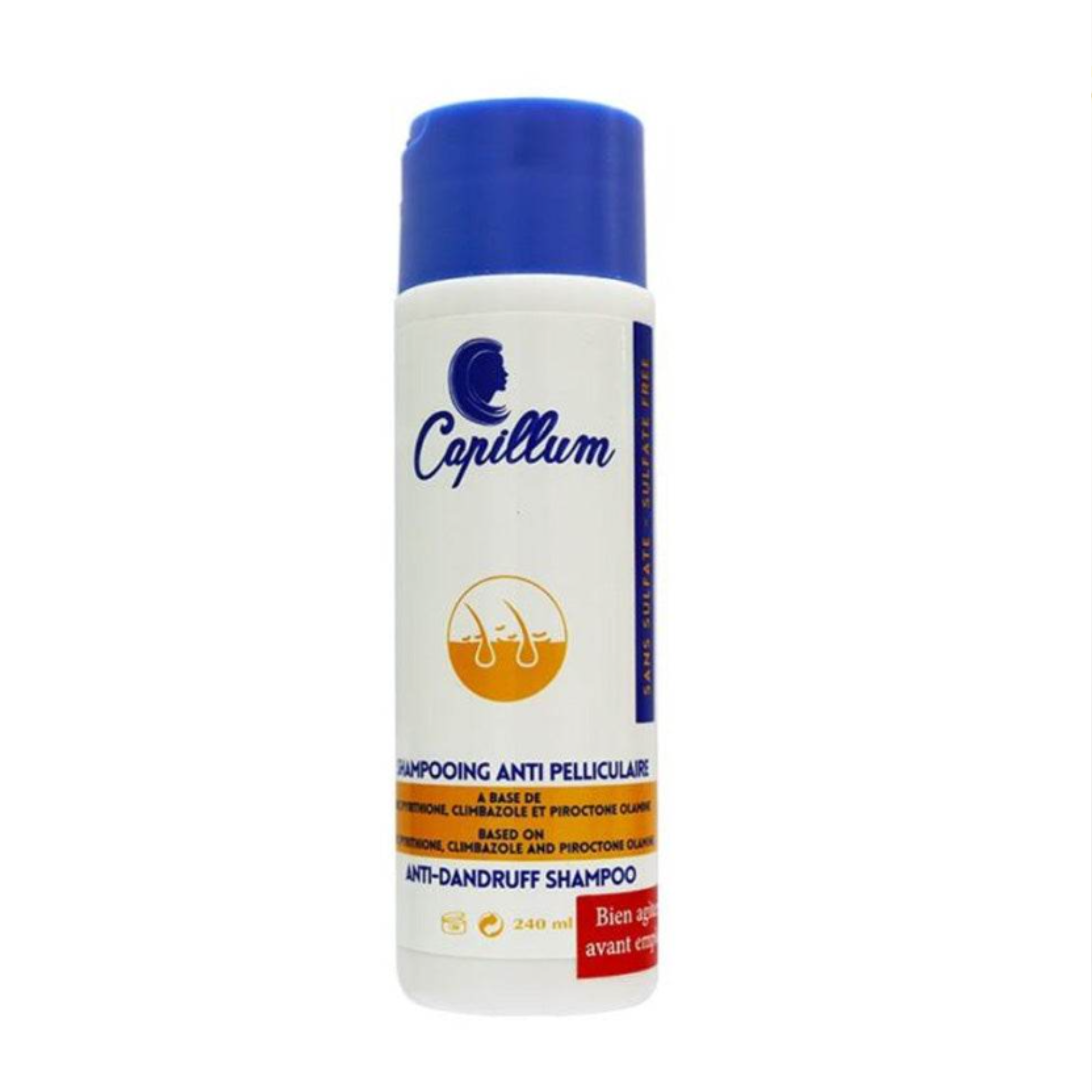 CAPILLUM SHP ANTI PELLICULAIRE 240ML –  | Parasativa Maroc