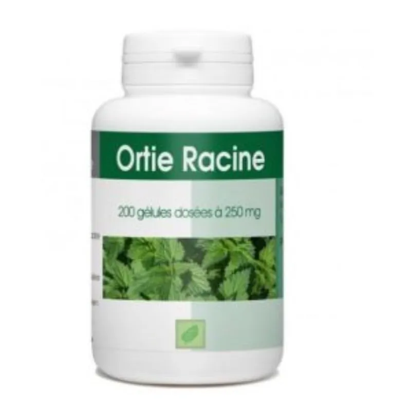 GPH Ortie Racine 250mg 200gelules –  | Parasativa Maroc